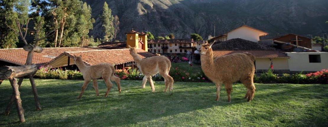 Gallery Sonesta Hotel Posadas del Inca Yucay Yucay, Peru