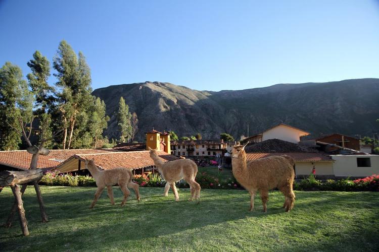  Sonesta Hotel Posadas del Inca Yucay Yucay, Peru