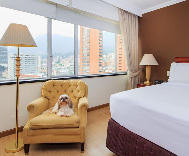 Room  Bogota