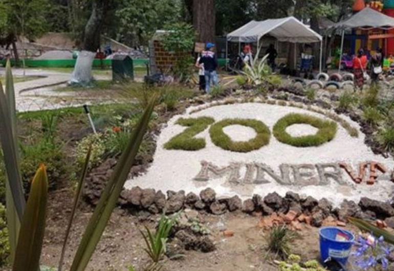 Minerva quetzaltenango zoo  Latam Plaza Pradera Quetzaltenango